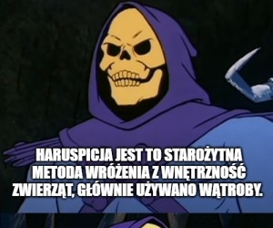 Panoramixie, miałeś tylko przepowiedzieć pogodę, po co ci ta wątroba?