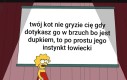 Ewentualnie tak się bawi