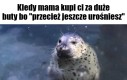 Wyglądam jakbym miała płetwy