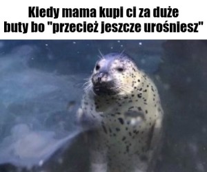Wyglądam jakbym miała płetwy