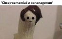 Bananaryna