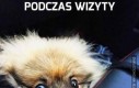 Podczas wizyty