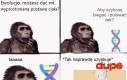 To największy mięsień człowieka i jeden z ważniejszych w staniu prosto.