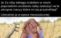 Mesozoic Park