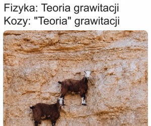 Praktyka to co innego