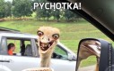 Pychotka!