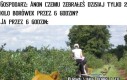 Praca marzeń