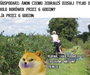 Praca marzeń