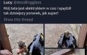 Słodziak