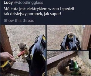 Słodziak
