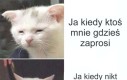 Co za gehenna