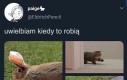 Uroczy chód