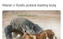 W sumie z pieniędzmi mogłaby zatrudnić ochroniarza