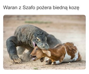 W sumie z pieniędzmi mogłaby zatrudnić ochroniarza