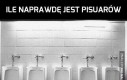 Prawda o pisuarach