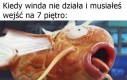 Ciężko