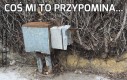 Coś mi to przypomina...