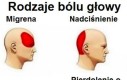 Od przybytku głowa nie boli