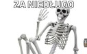 Plz dajcie szkieletora na główną 