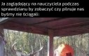 Dobra, szybka akcja i szósteczka