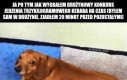 Znowu bym coś zjadł