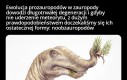 Schizopaleologia weszła za mocno