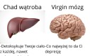 Wątroba rządzi