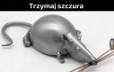 Tytuł idzie pod pr*sznic