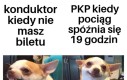 Podwójne standardy