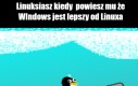 Pingwin się zdenerwował