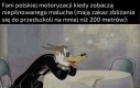 Tak to już z nimi jest