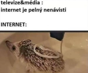 Ważne media