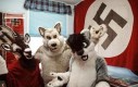 Furry Hitler