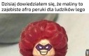 Z pamiętnika bezrobotnego