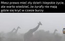 Czasem łatwiej być małym