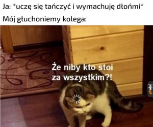 Memy Jeja Pl Codziennie Nowe Obrazki Gify I Wideo