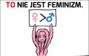 Prawda o feminizmie