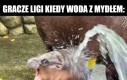 Pachną gorzej niż oscypek