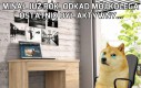 Może kiedyś wróci...
