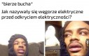 Piorunowe węgorze? Burzowe?