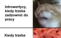 Może nie odbierze, może zablokuje, może dała fałszywy?