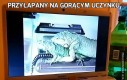 Przyłapany na gorącym uczynku