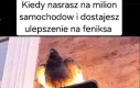 Cyk nowy skin