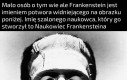 Mem Frankensteina
