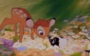 Bambi i nowi koledzy