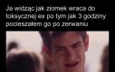 Szkoda strzępić ryja