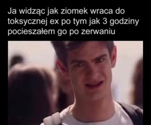 Szkoda strzępić ryja