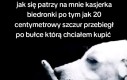 Nic tutaj nie widziałeś