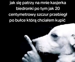 Nic tutaj nie widziałeś