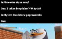 To działa na każdą